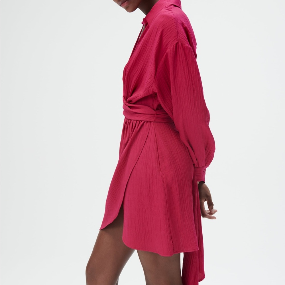 Zara Belted dress